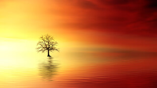vivid sunset 4k wallpaper