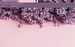 Lilac Flowers Lilac Flowers Chrome Theme