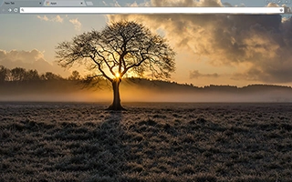 Lone Tree Chrome Theme