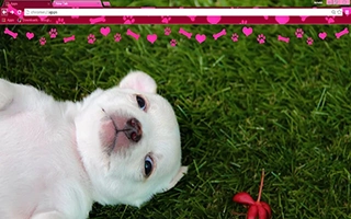 Puppy Love Chrome Theme