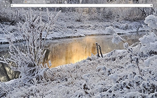 Snowy Creek Chrome Theme