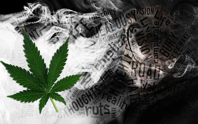 420 Truth Chrome theme - Screenshot 3