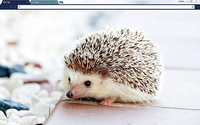 Baby Hedgehog Theme