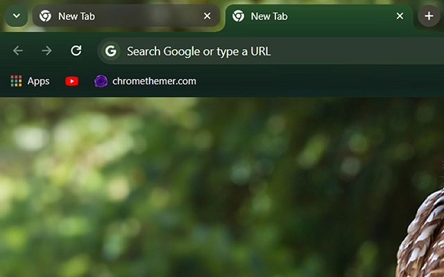 Barred Owl Chrome theme - Screenshot 2