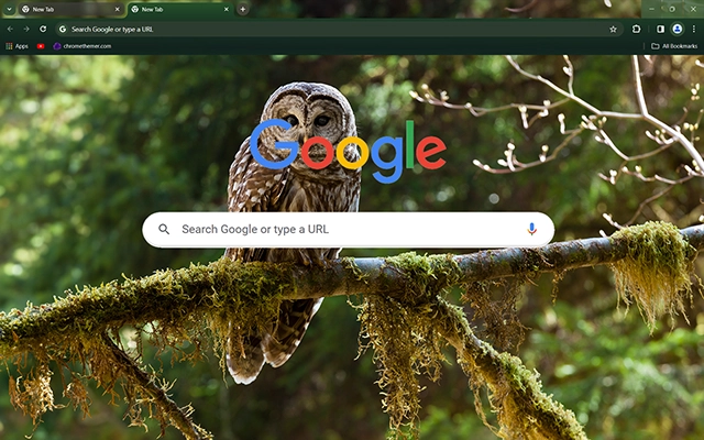 Barred Owl Chrome theme - Screenshot 3