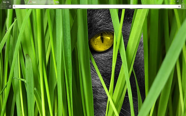 Big Cat Theme