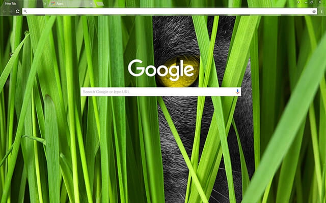 Big Cat Chrome theme - Screenshot 2