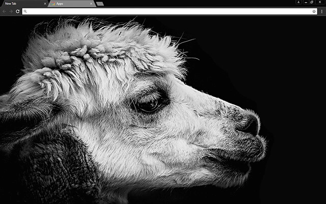 Black Lama Theme