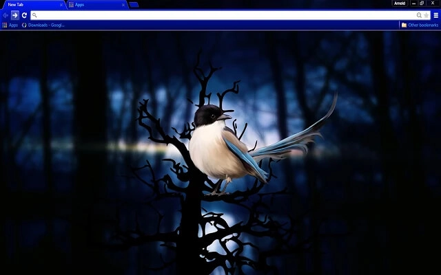 Blue Bird Theme
