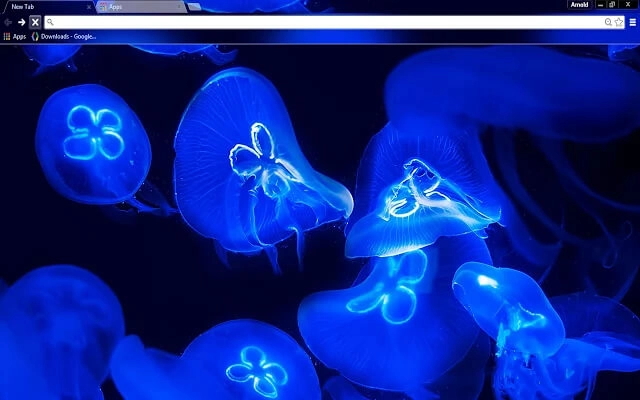 Blue JellyFish Theme
