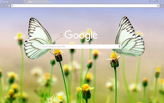 Butterfly Heaven Chrome theme - Screenshot 2