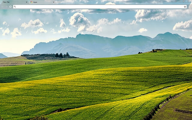 Canola Fields Theme