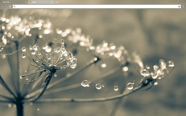 Cobweb Theme