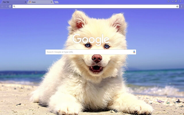 Cute Beach Puppy Chrome theme - Screenshot 2