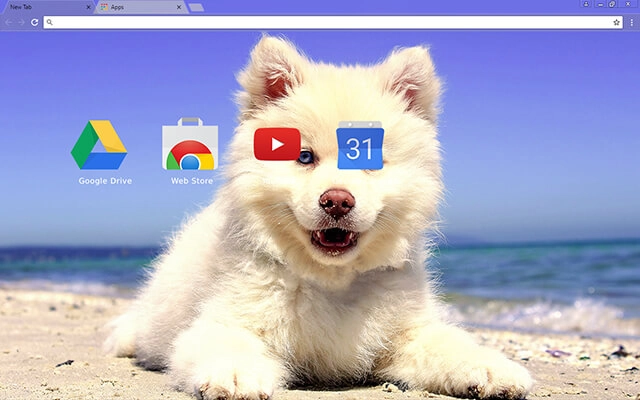 Cute Beach Puppy Chrome theme - Screenshot 3