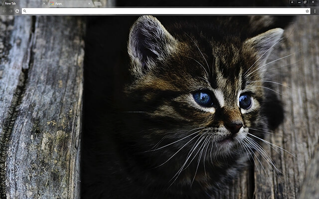 Dark Kitten Theme