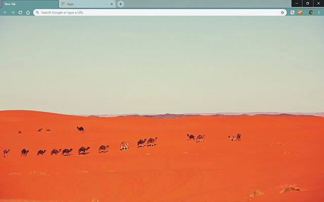 Desert Caravan Theme
