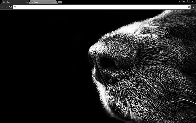 Dog Nose Theme