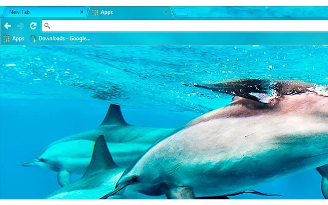 Dolphins Chrome theme - Screenshot 2