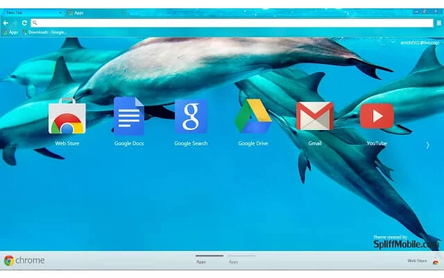Dolphins Chrome theme - Screenshot 3