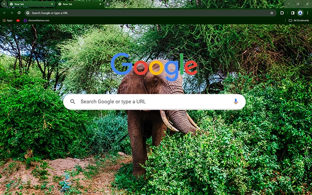 Elephant Chrome theme - Screenshot 3