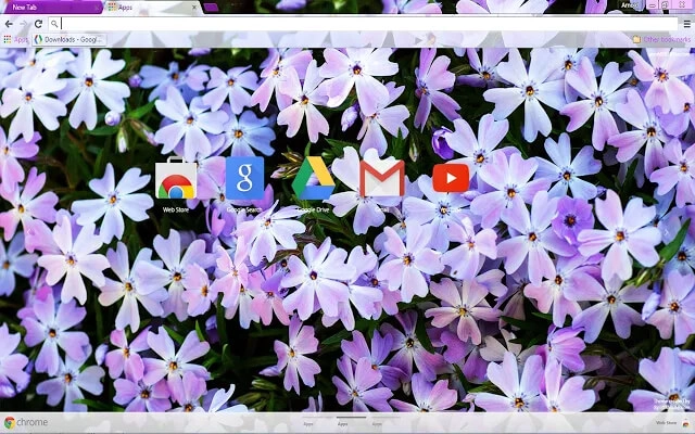 Flowers Chrome theme - Screenshot 3