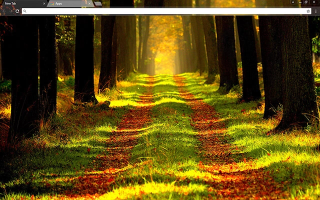 Forest Way Theme
