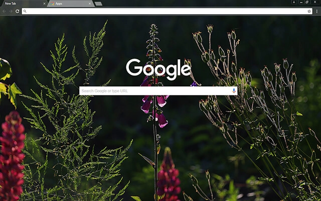 Free Beauty Chrome theme - Screenshot 2