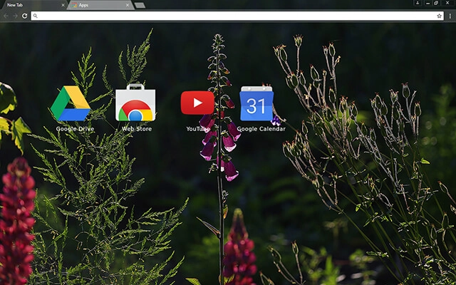 Free Beauty Chrome theme - Screenshot 3