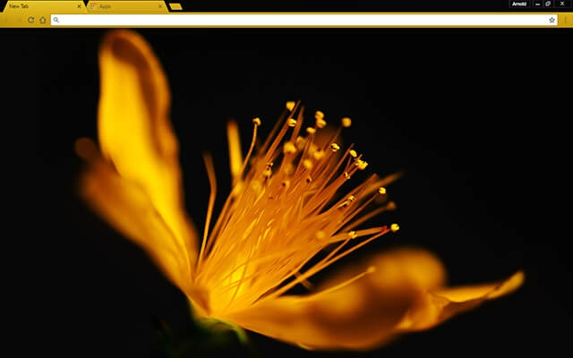 Golden Flower Theme