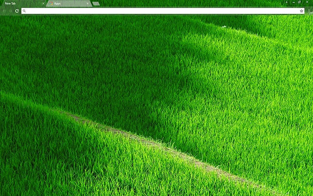 Grassy Terraces Theme