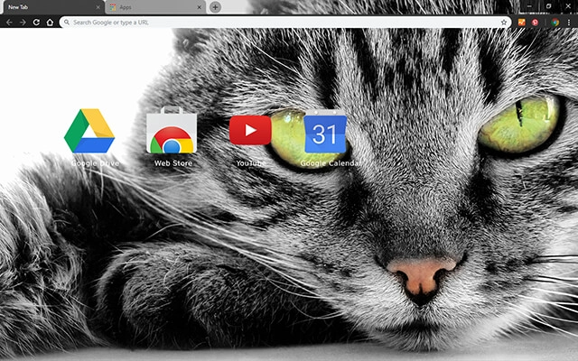Green Eyed Cat Chrome theme - Screenshot 3