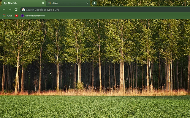 Green Woods Theme