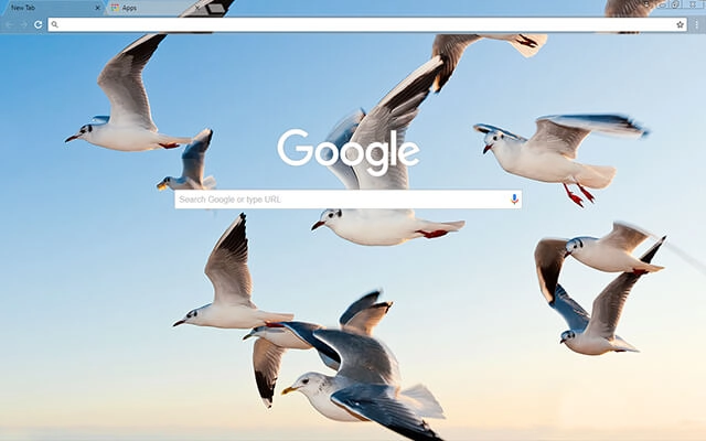 Gulls Chrome theme - Screenshot 2