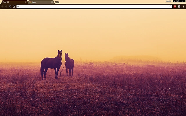 Horses Theme