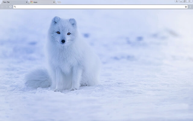 Iceland Fox Theme