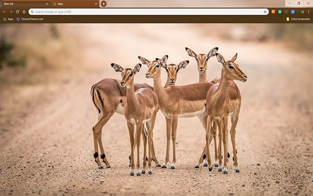 Impalas Theme