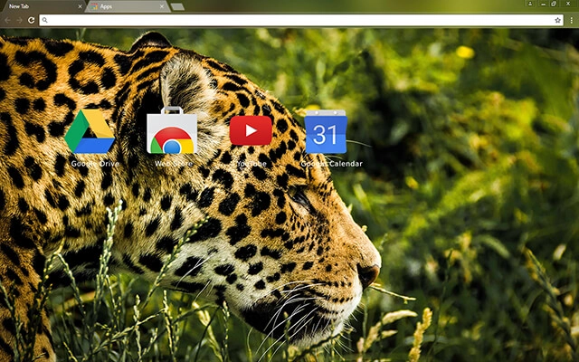 Jaguar Chrome theme - Screenshot 3