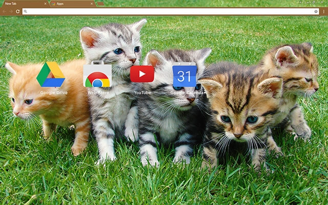More Kittens Chrome theme - Screenshot 3