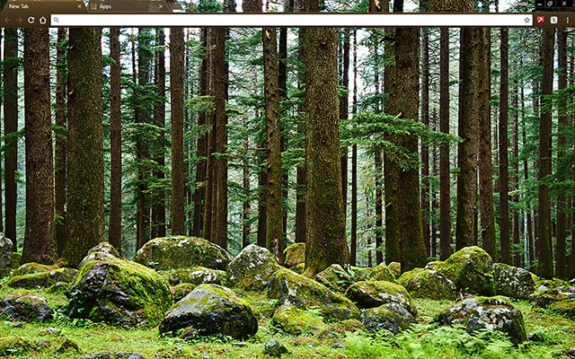 Mystery Forest Theme