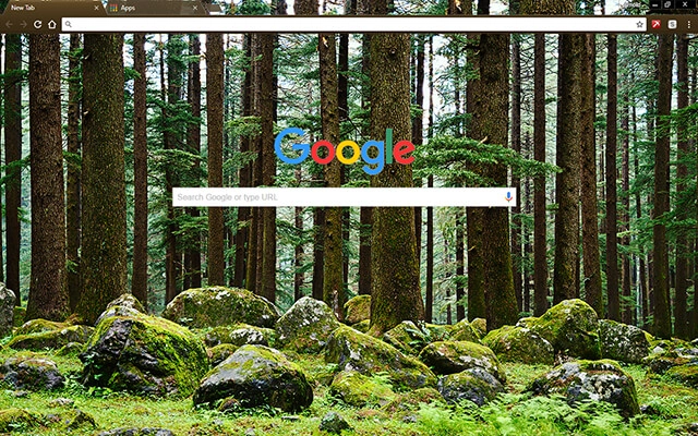Mystery Forest Chrome theme - Screenshot 2