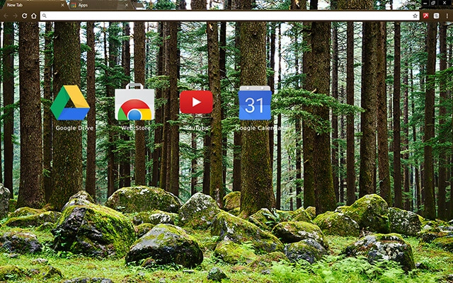 Mystery Forest Chrome theme - Screenshot 3