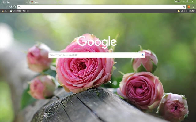 Natural Pink Roses Chrome theme - Screenshot 2