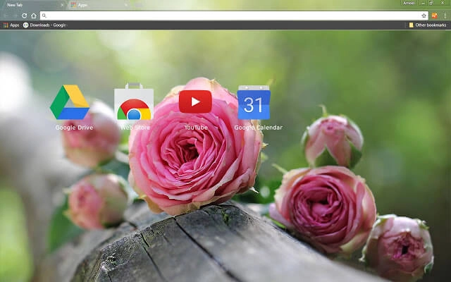 Natural Pink Roses Chrome theme - Screenshot 3