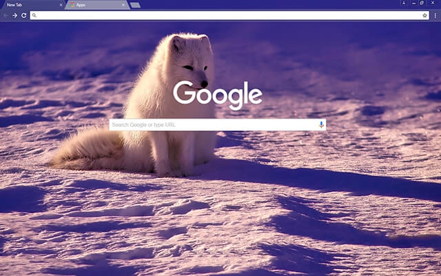 Norway Chrome theme - Screenshot 2