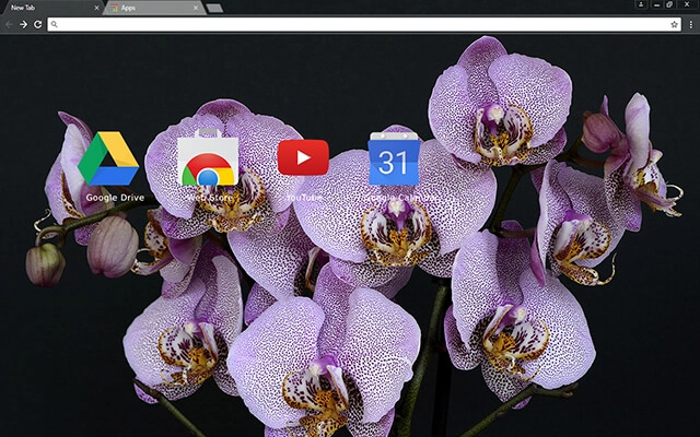 Orchids Chrome theme - Screenshot 3