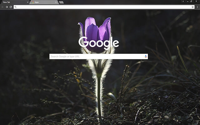 Pasque Flower Chrome theme - Screenshot 2