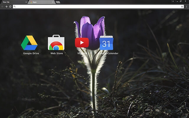 Pasque Flower Chrome theme - Screenshot 3