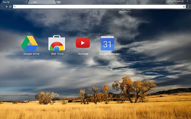 Patagonia Chrome theme - Screenshot 3