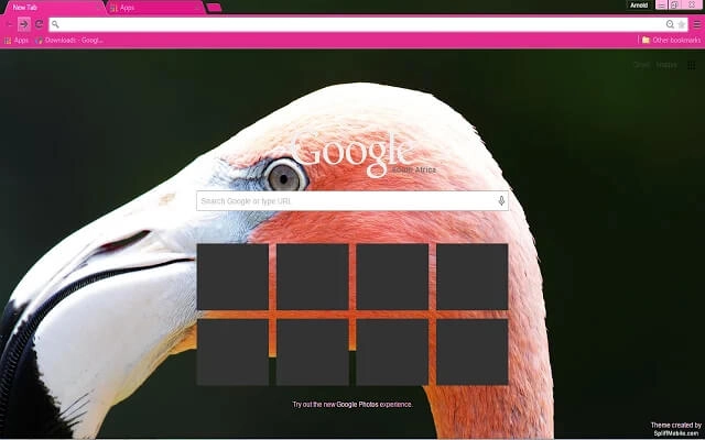 Pink Flamingo Theme